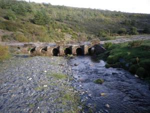 Integración en el entorno