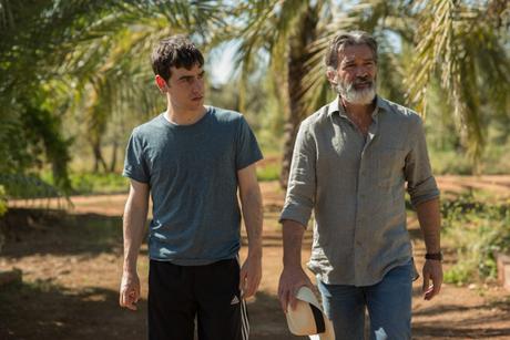 Antonio Banderas, Oscar Isaac, Olivia Wilde y Annette Bening protagonizan La Vida Misma