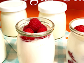Como hacer yogur casero,en yogurtera,cremoso