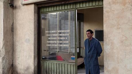 Dogman, David contra Goliat