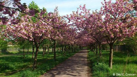 El Muro de Berlín fue destruido el 9 de noviembre de 1989. El Muro de Berlín fue destruido el 9 de noviembre de 1989.
