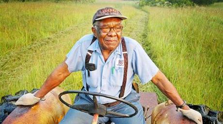 wise-old-farmer.jpg 