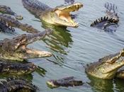 Herramientas: mayor enemigo para aprender GTD®