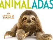 “Animaladas” Kwame Alexander Joel Sartore