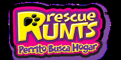 Rescue Runts, perrito busca hogar.