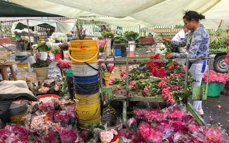 Guía para recorrer Bogotá (a mi manera)