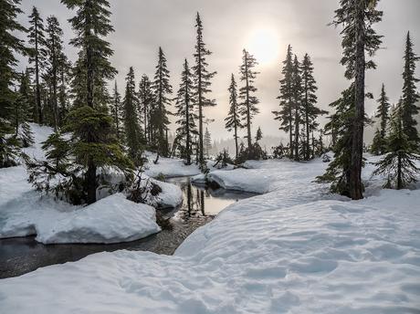 Palabras en esquimal para nieve y crisis en chino