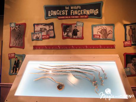 Créase o no. Nuestra experiencia en el Museo de Ripley de Nueva York