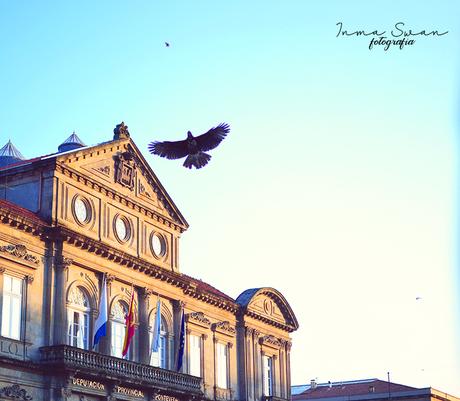 Fotografía | Feira Franca de Pontevedra 2018 Fotografía | Feira Franca de Pontevedra 2018