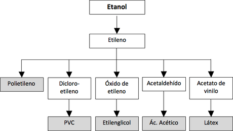 ¿Qué es el plástico vegetal y por qué PLASTISAX es la primera empresa española que lo utiliza de forma masiva?