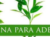 Camilina para adelgazar ¿Funciona?