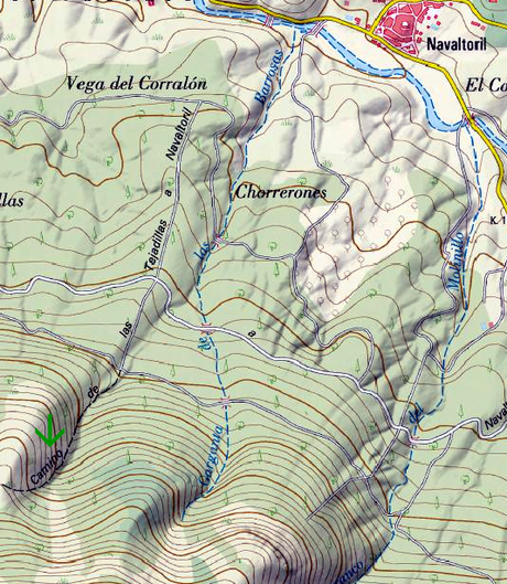Los Tejos Milenarios de Navaltoril Los Tejos Milenarios de Navaltoril