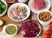 Aporte Adecuado Zinc previene Trastornos Neurodesarrollo