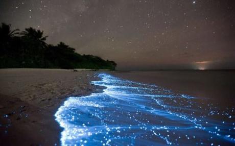 Qué hacer en Holbox Qué hacer en Holbox