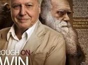 traición Attenborough?