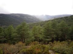 Desde la pista blanca … Desde la pista blanca …