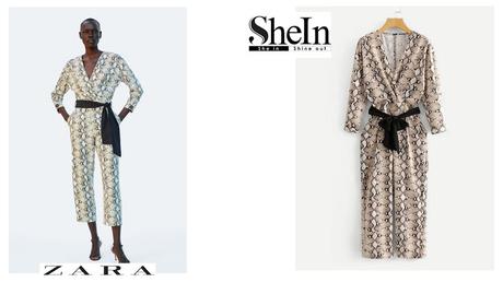 A la busqueda del clon.