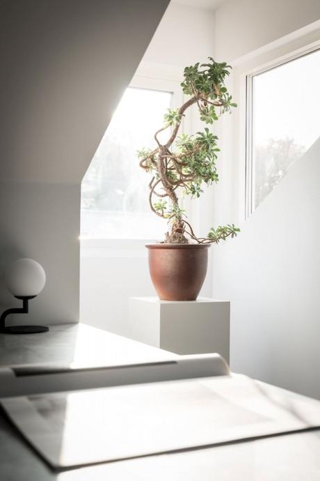 Estudio completamente abierto de distribución perfecta