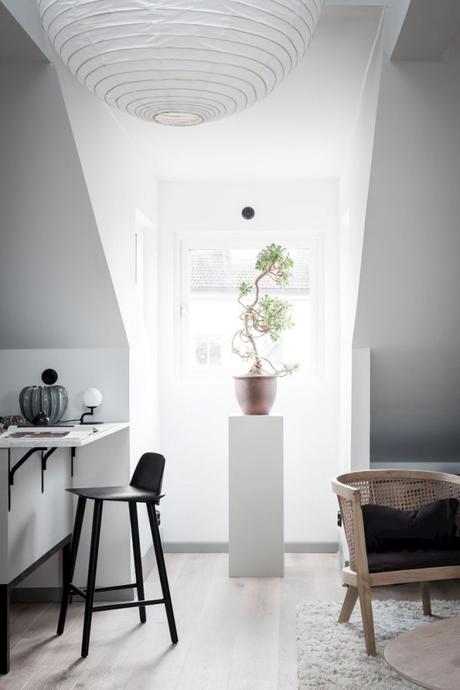 Estudio completamente abierto de distribución perfecta