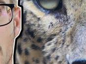 noche panteras J.G. Mesa Reseña literaria