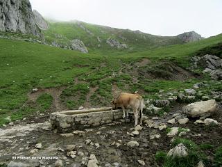 Wamba-Llagu Ubales-Mericueria-La Vega Brañagallones-Valdebezón