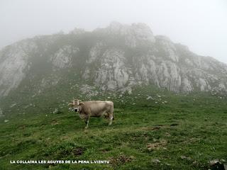 Wamba-Llagu Ubales-Mericueria-La Vega Brañagallones-Valdebezón