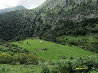 Wamba-Llagu Ubales-Mericueria-La Vega Brañagallones-Valdebezón