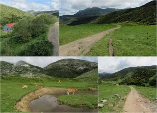 Wamba-Llagu Ubales-Mericueria-La Vega Brañagallones-Valdebezón