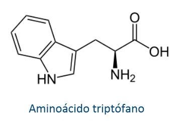 Aminoácido esencial Triptófano