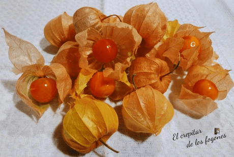 PASTEL DE MOKA, CHOCOLATE Y GELATINA DE PHYSALIS