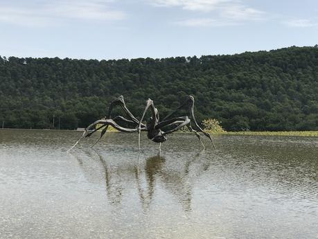 Chateau la Coste Foto Elena Cue