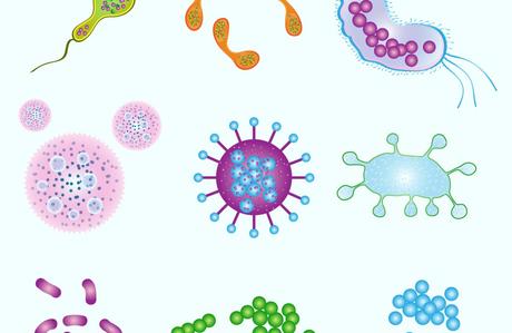 Semana Mundial de Concienciación sobre el Uso de los Antibióticos
