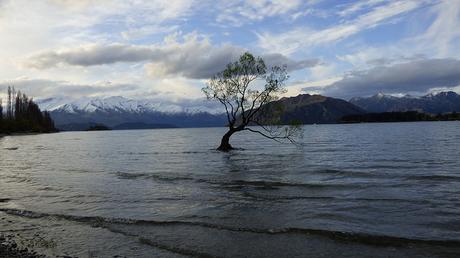 20180923 Wanaka (31)