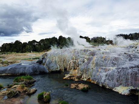 Dia 4, Hobbiton y Rotorua Dia 4, Hobbiton y Rotorua