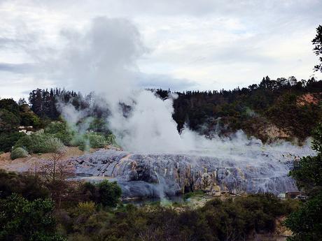 Dia 4, Hobbiton y Rotorua Dia 4, Hobbiton y Rotorua