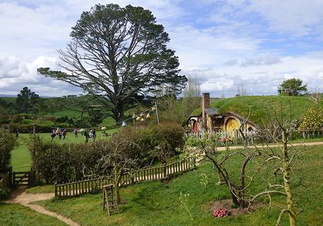 Dia 4, Hobbiton y Rotorua