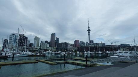 Día 2, Auckland por libre