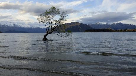 Viaje a las Antipodas, Circuito por Nueva Zelanda e Islas Cook