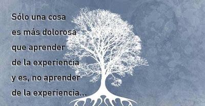 La Imperfeccion y el Fracaso