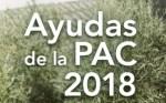A partir del 16 comenzarán los pagos de la Pac