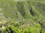 tierras bierzo: pico valdiglesia