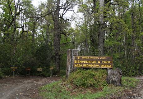 Yuco (octubre de 2018) Yuco (octubre de 2018)