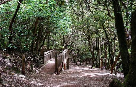 Los 4 lugares en España que de seguro no conocías Los 4 lugares en España que de seguro no conocías