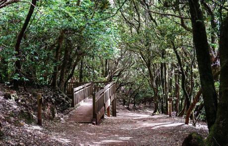 Los 4 lugares en España que de seguro no conocías