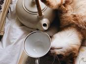 placer tomar verde: beneficios momento para