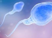 Color esperma: ¿Cómo debería verse semen cómo puede saber eyaculación anormal?
