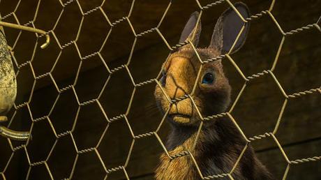 Primeras imágenes de 'Watership Down', novela de Richard Adams