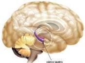 Cómo Lesiones Cabeza pueden conducir Trastornos Cerebrales