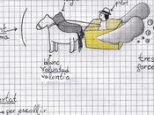 MITE CARRO ALAT, VERSIONS