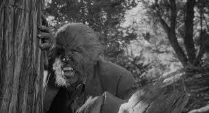COLMILLOS DEL LOBO, LOS (Werewolf, the) (USA, 1956) Fantástico
